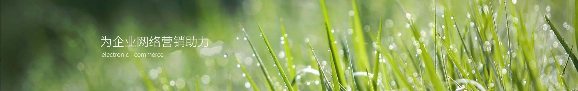 ӱ˶Ž԰ֹ޹˾